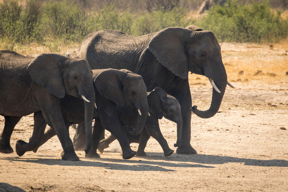 S00 A7796 Photography Art | Captured Adventure Photography