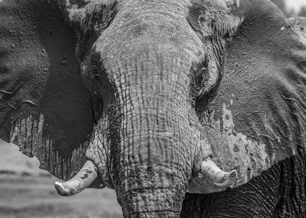 S00 A8481 Photography Art | Captured Adventure Photography