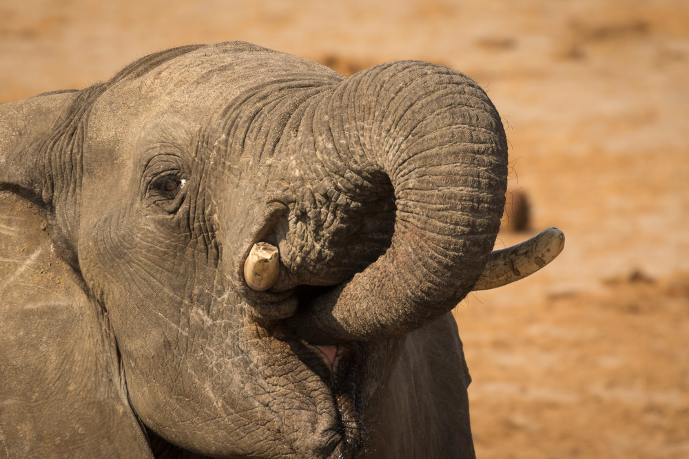 S00 A7863 Photography Art | Captured Adventure Photography