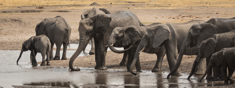 S00 A8455 Photography Art | Captured Adventure Photography