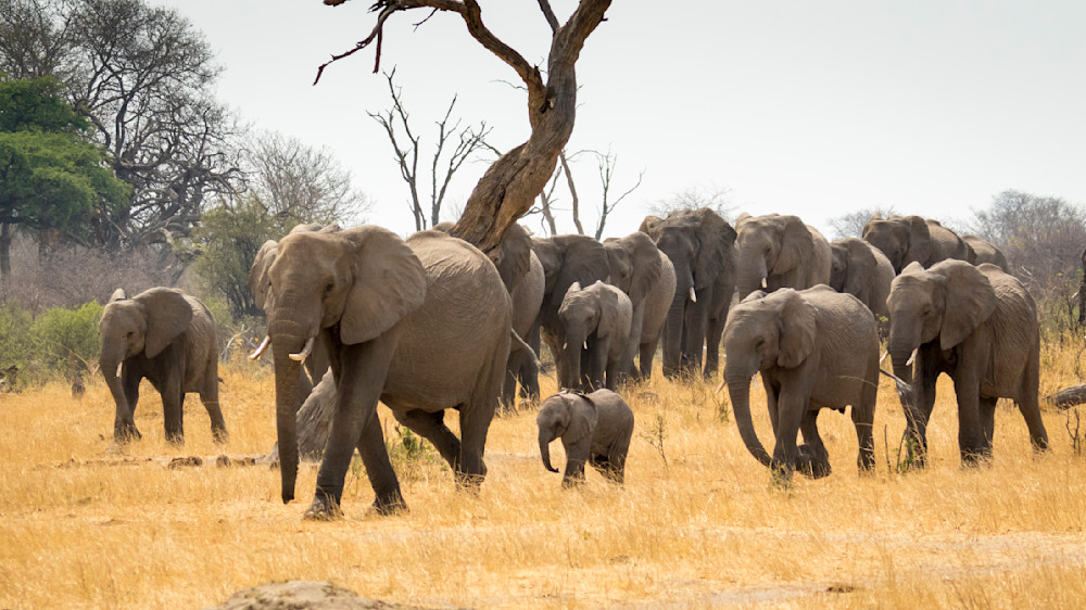 S00 A8567 Photography Art | Captured Adventure Photography