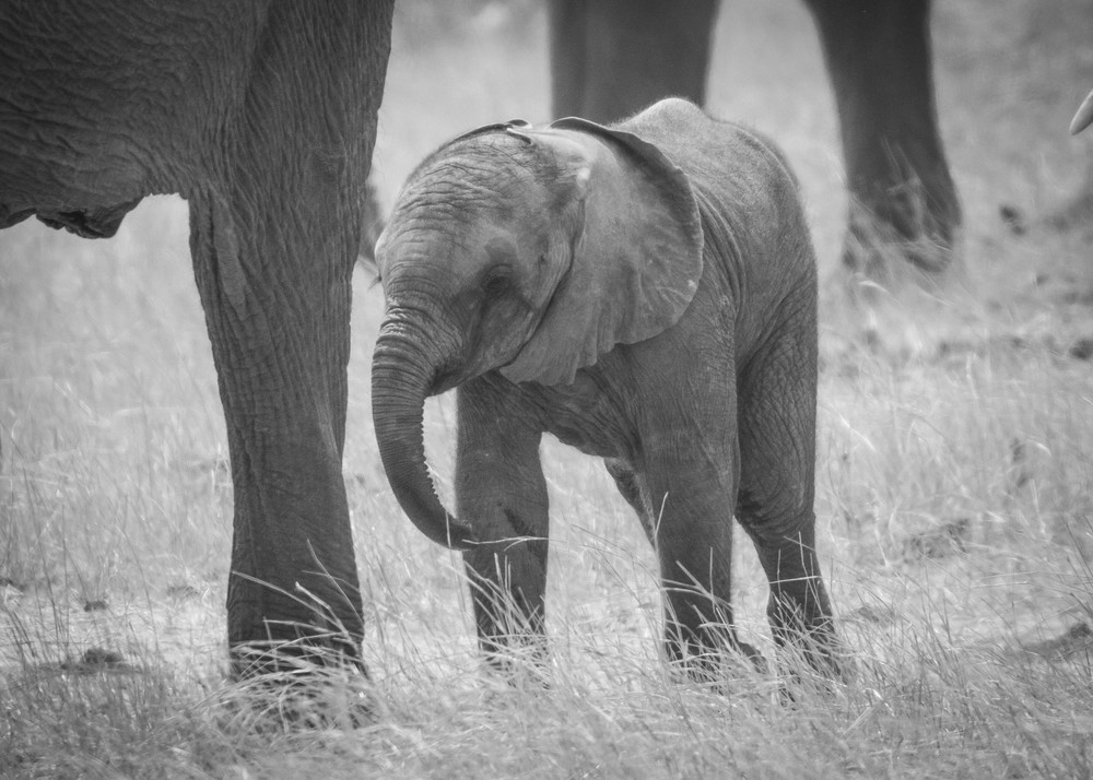 S00 A8579 Photography Art | Captured Adventure Photography