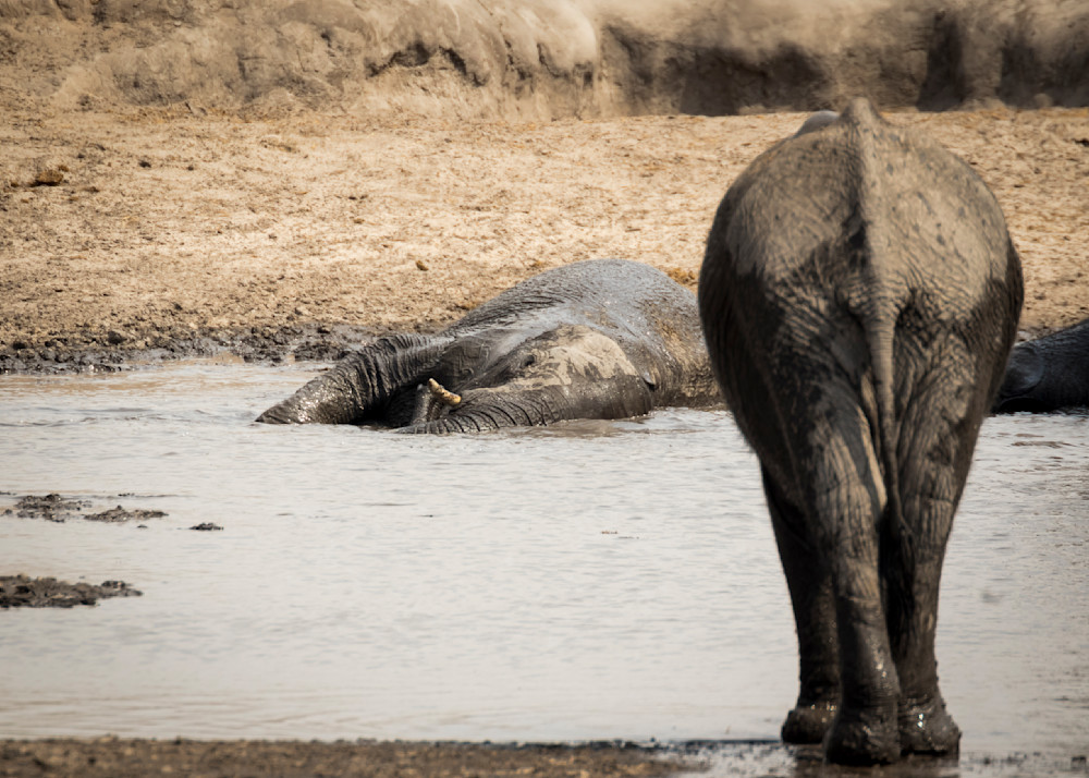 S00 A8535 Photography Art | Captured Adventure Photography