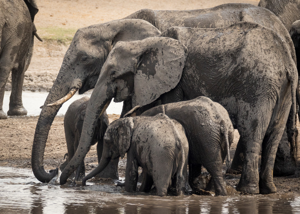 S00 A8502 Photography Art | Captured Adventure Photography