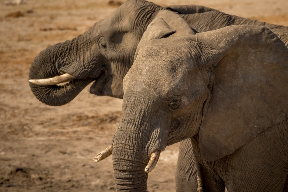 S00 A7823 Photography Art | Captured Adventure Photography