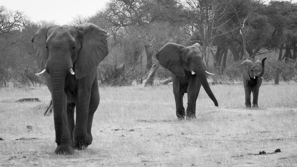 S00 A8351 Photography Art | Captured Adventure Photography