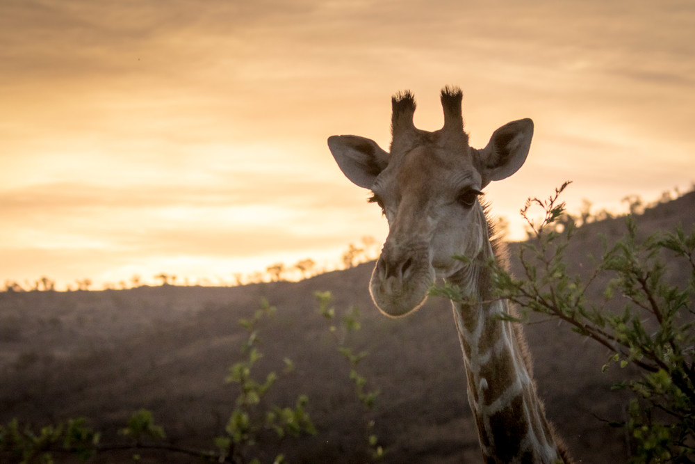 S00 A0067 Photography Art | Captured Adventure Photography