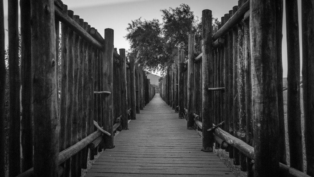 0 Y4 A7664 Photography Art | Captured Adventure Photography