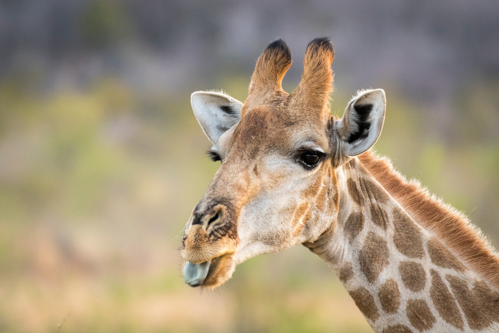 S00 A0127 Photography Art | Captured Adventure Photography