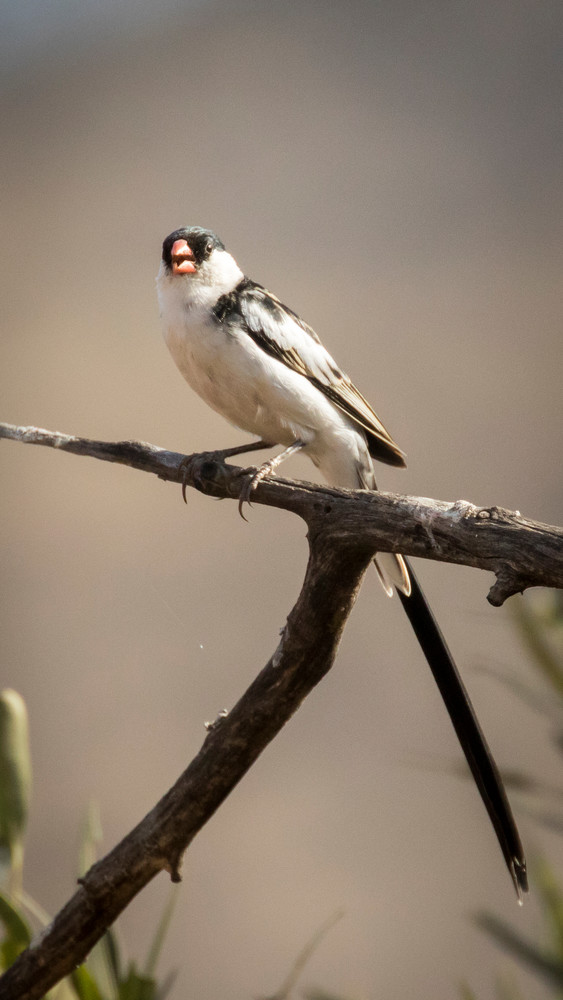 S00 A0354 Photography Art | Captured Adventure Photography