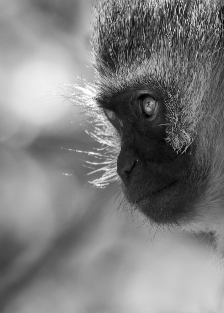 S00 A0413 Photography Art | Captured Adventure Photography