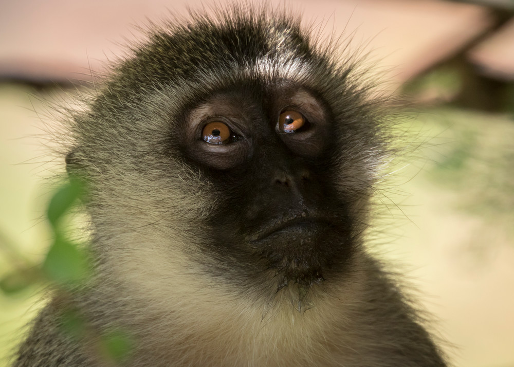 S00 A0657 Photography Art | Captured Adventure Photography