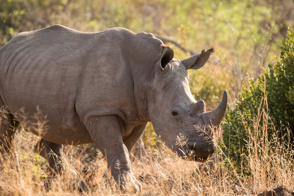 S00 A0271 Photography Art | Captured Adventure Photography