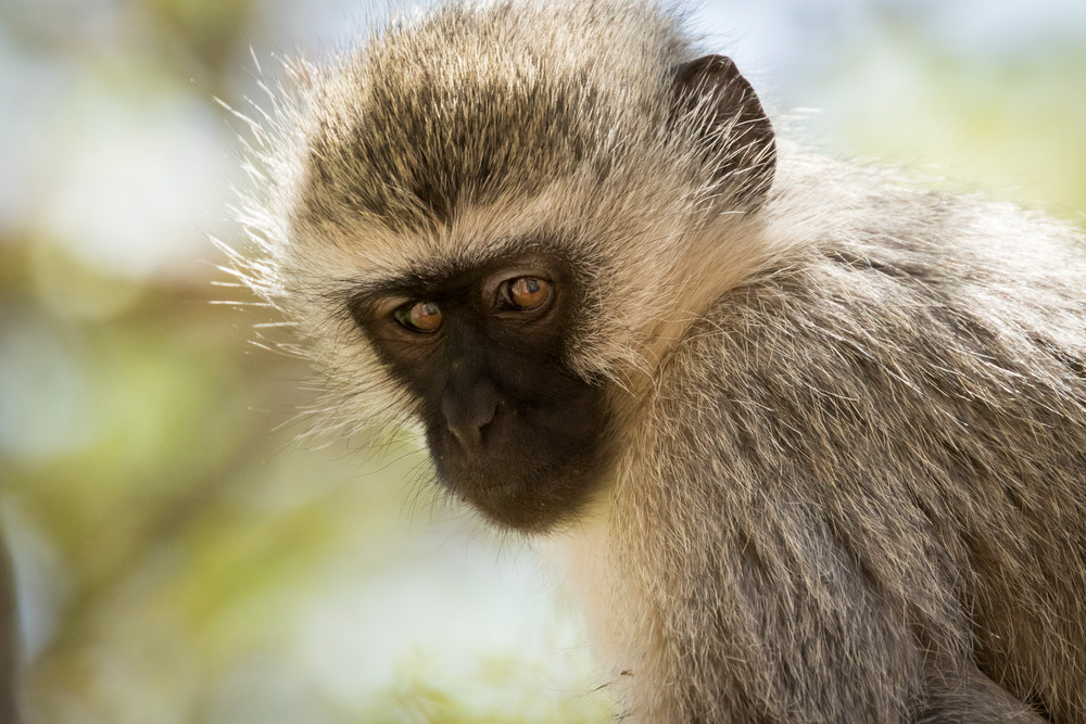 S00 A0420 Photography Art | Captured Adventure Photography