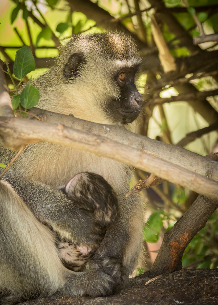 S00 A0750 Photography Art | Captured Adventure Photography