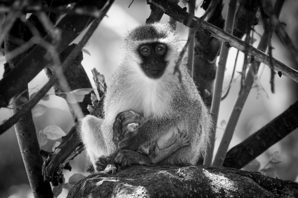 S00 A0504 Photography Art | Captured Adventure Photography