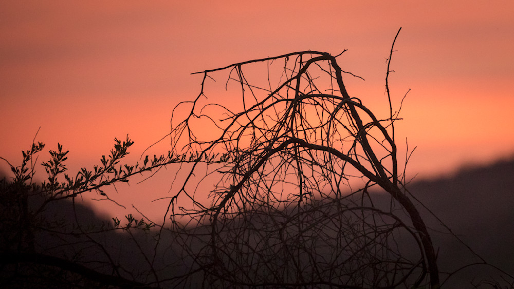 S00 A0247 Photography Art | Captured Adventure Photography