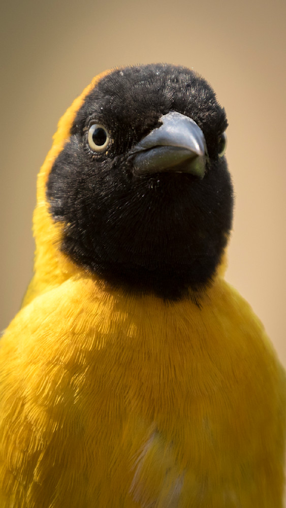 S00 A1390 Photography Art | Captured Adventure Photography