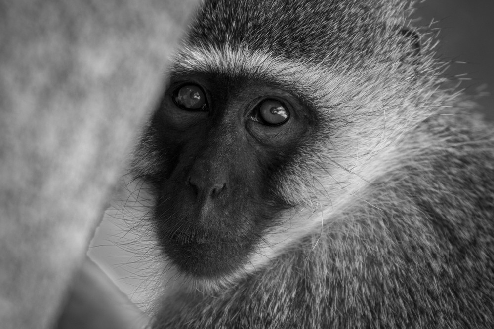 S00 A0907 Photography Art | Captured Adventure Photography