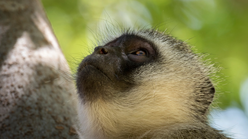 S00 A0966 Photography Art | Captured Adventure Photography