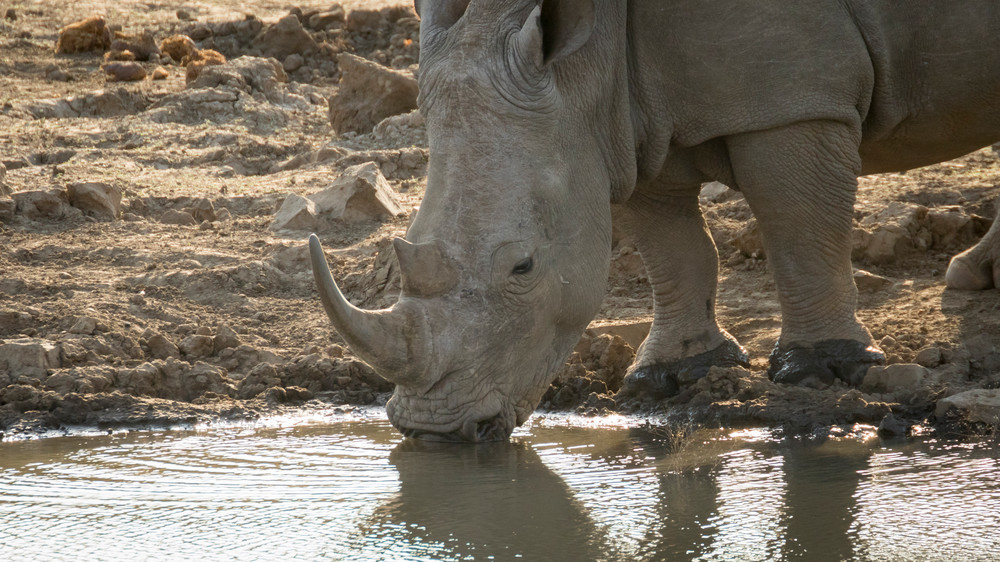 S00 A1632 Photography Art | Captured Adventure Photography