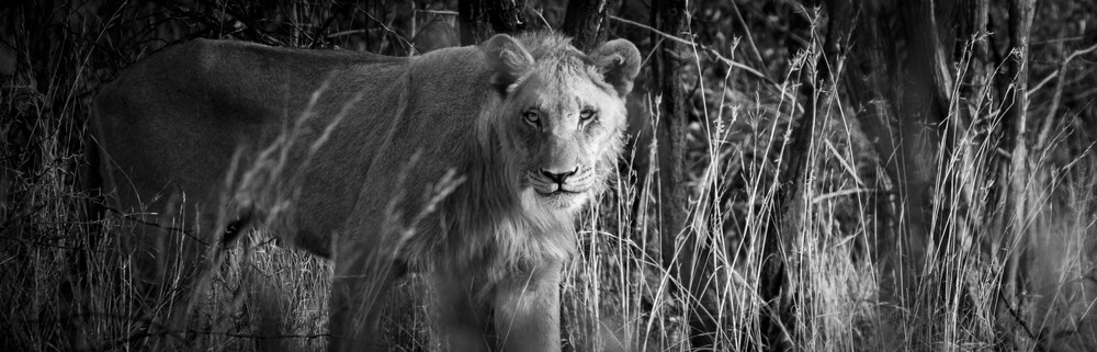 S00 A2064 Photography Art | Captured Adventure Photography