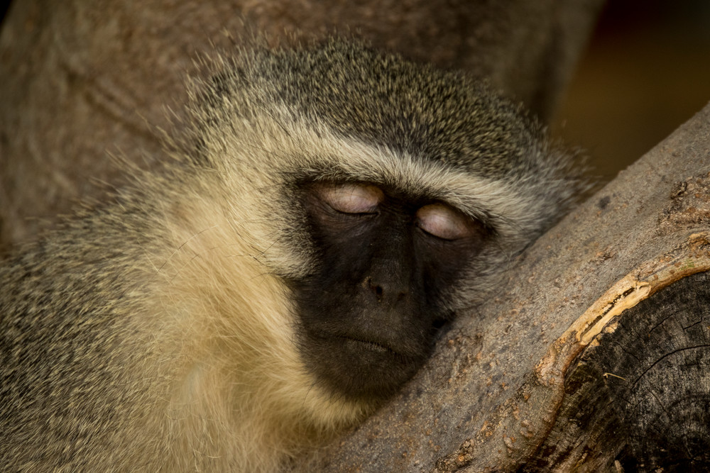 S00 A1033 Photography Art | Captured Adventure Photography