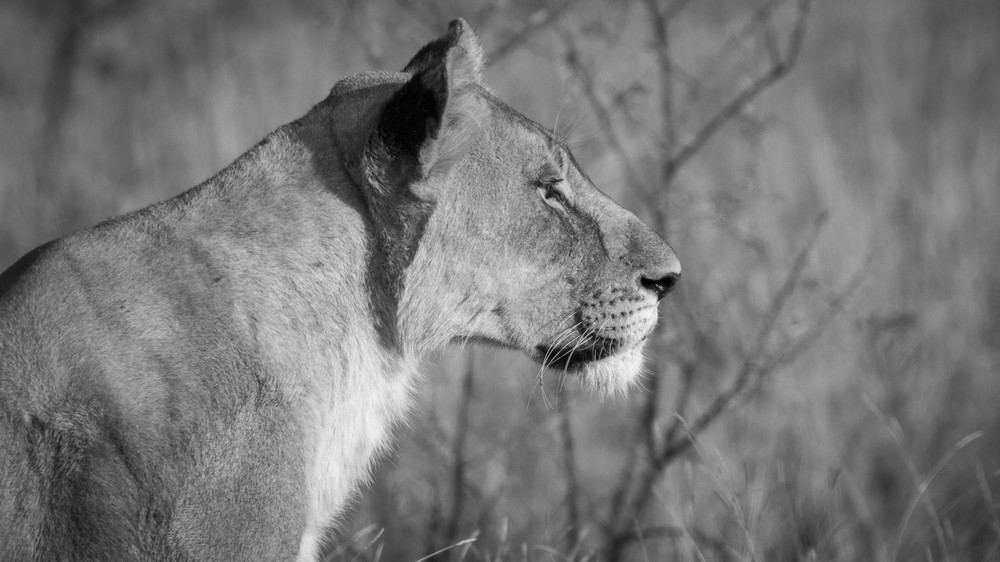 S00 A1720 Photography Art | Captured Adventure Photography