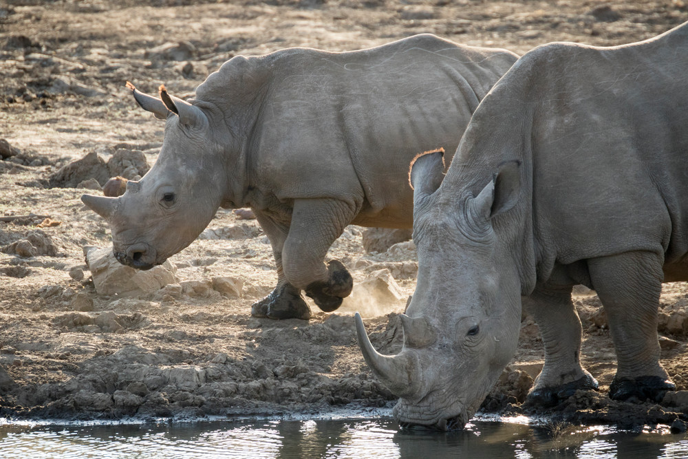 S00 A1659 Photography Art | Captured Adventure Photography