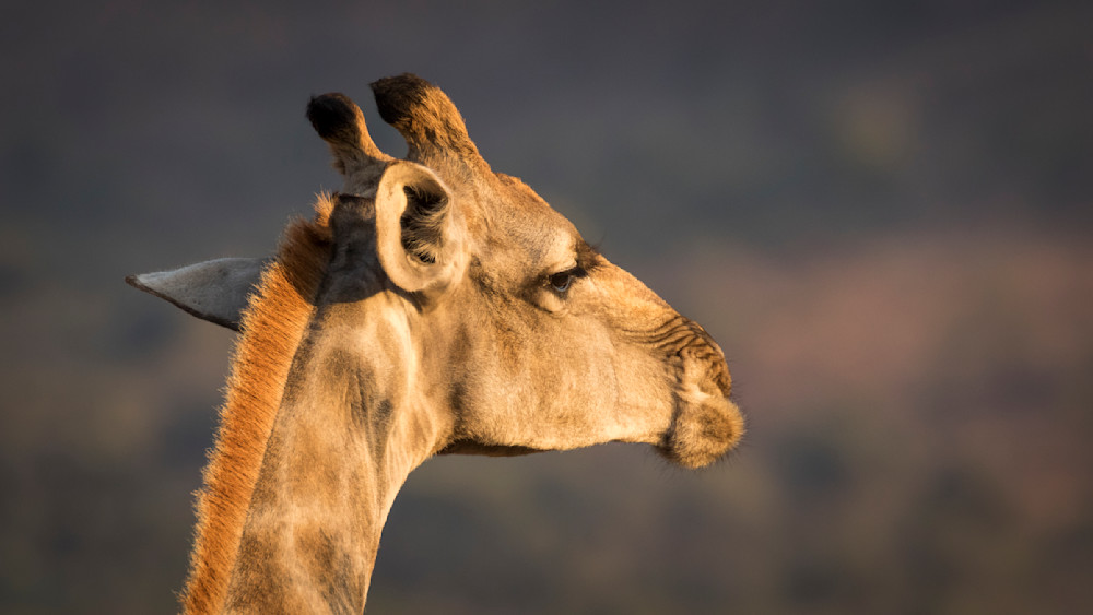 S00 A2321 Photography Art | Captured Adventure Photography