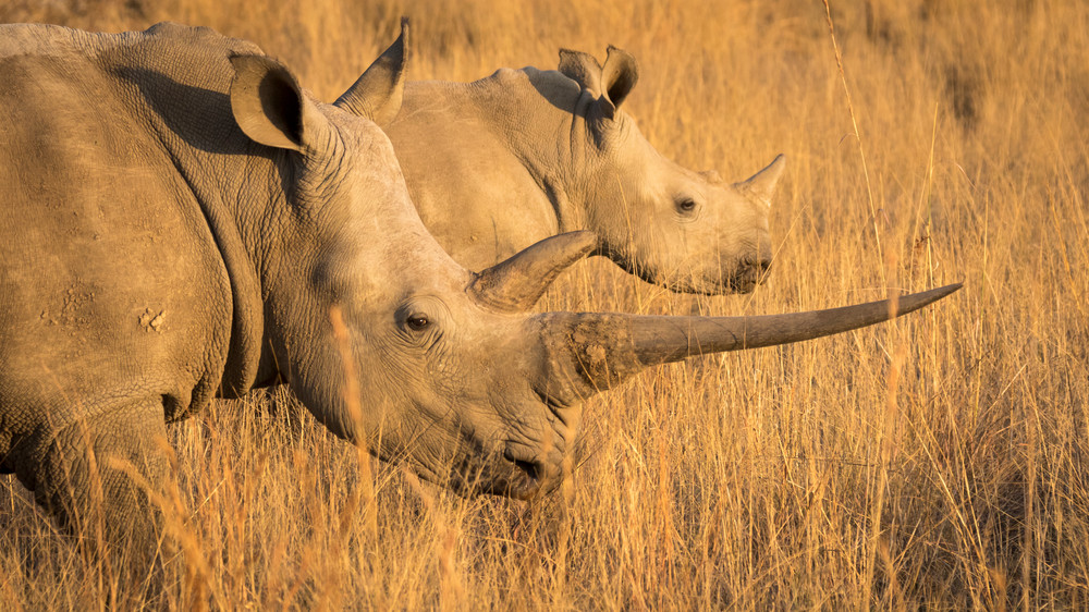 S00 A2376 1 Photography Art | Captured Adventure Photography