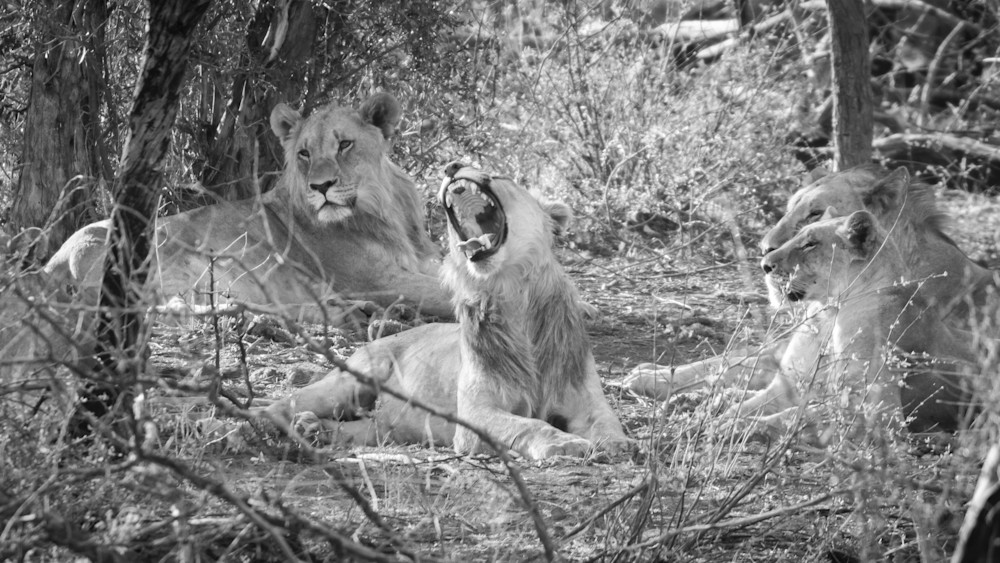 S00 A9617 Photography Art | Captured Adventure Photography