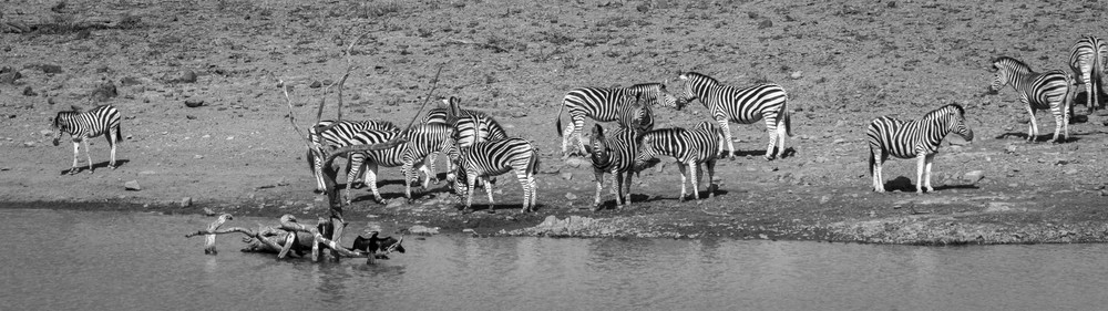 S00 A2754 Photography Art | Captured Adventure Photography