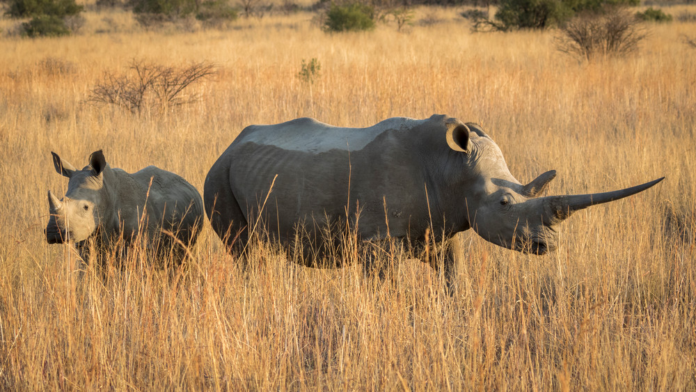 S00 A2436 Photography Art | Captured Adventure Photography