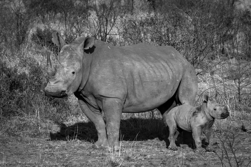 S00 A2538 Photography Art | Captured Adventure Photography