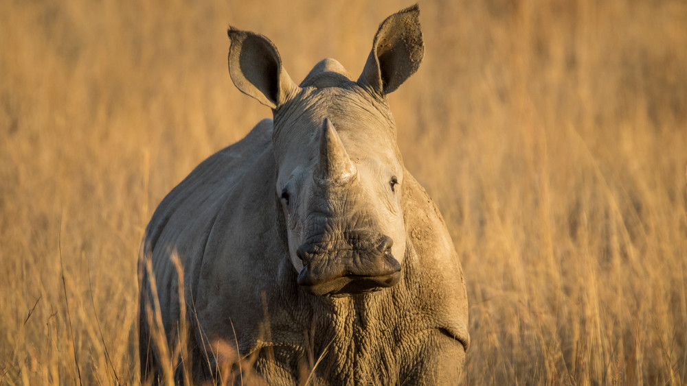 S00 A2385 Photography Art | Captured Adventure Photography