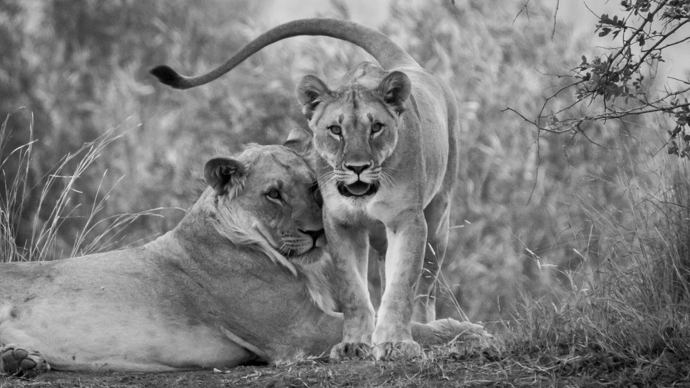 S00 A9896 Photography Art | Captured Adventure Photography