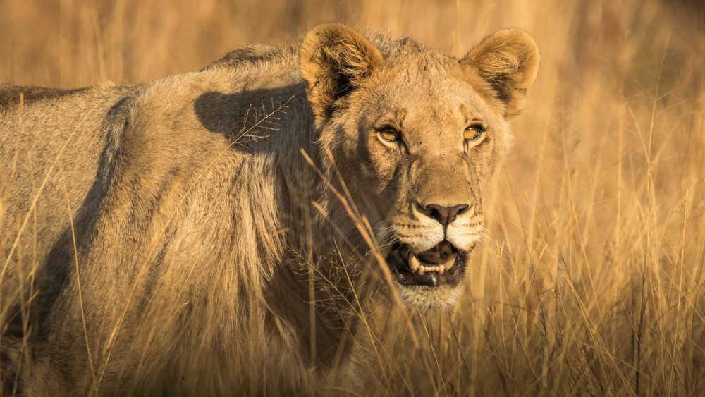 S00 A1775 Photography Art | Captured Adventure Photography