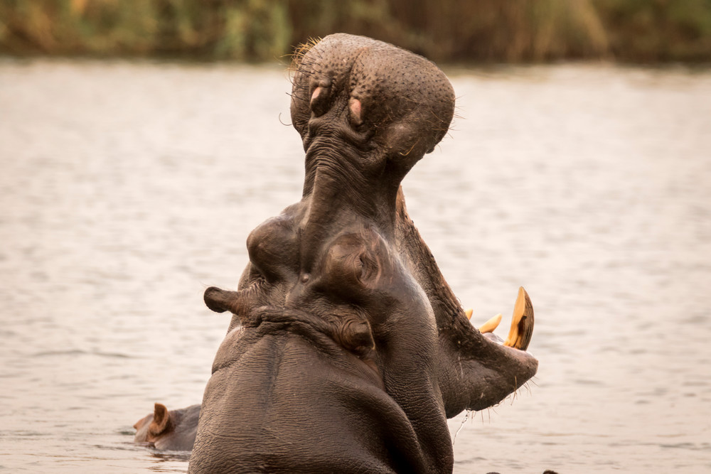 S00 A8896 Photography Art | Captured Adventure Photography