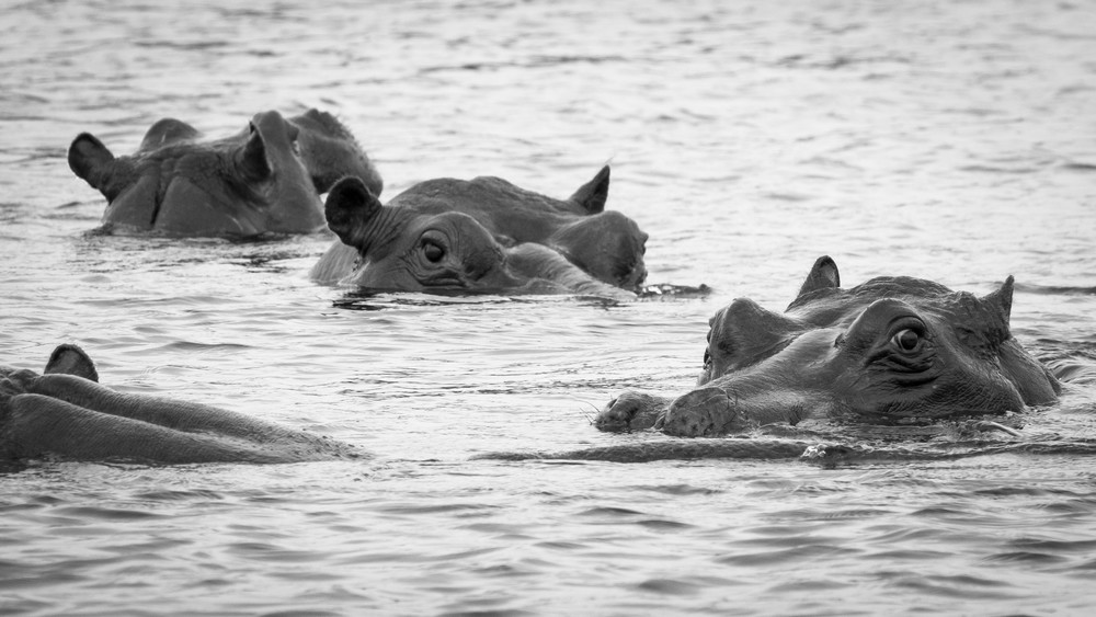 S00 A8907 Photography Art | Captured Adventure Photography