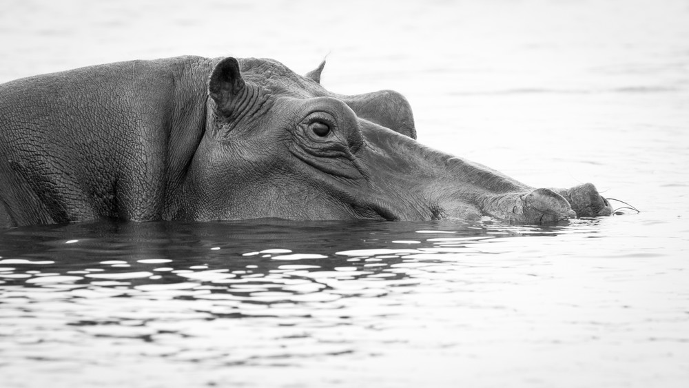 S00 A8834 Photography Art | Captured Adventure Photography