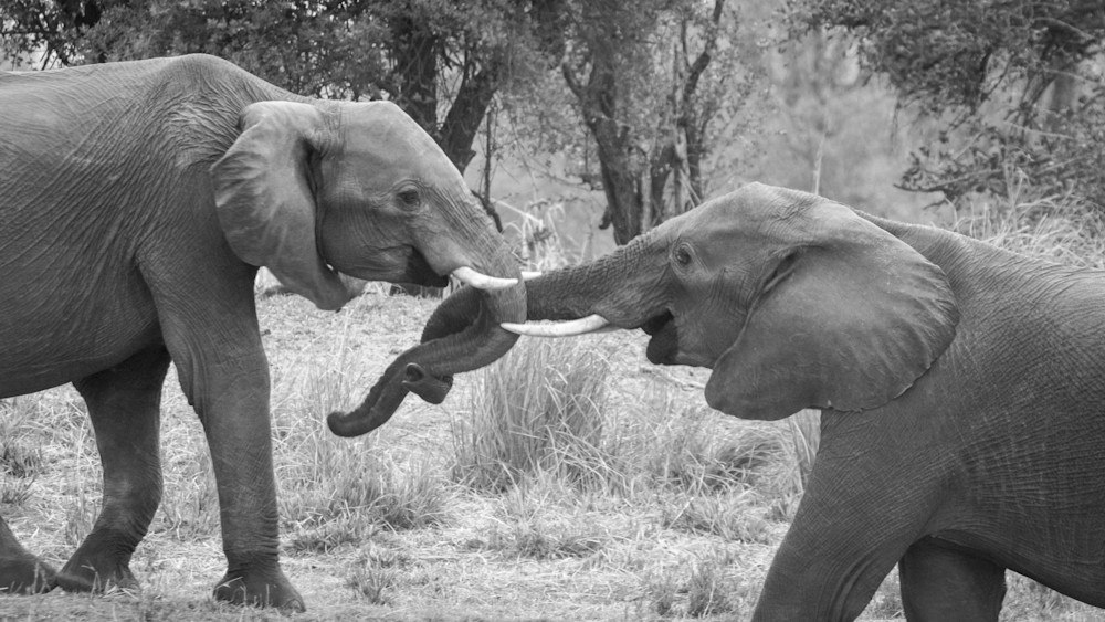 S00 A9090 Photography Art | Captured Adventure Photography