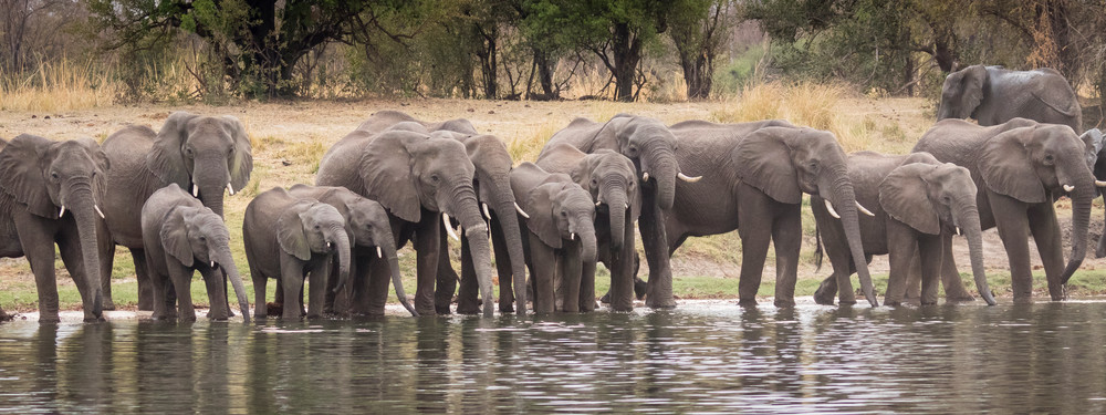 S00 A9191 Photography Art | Captured Adventure Photography