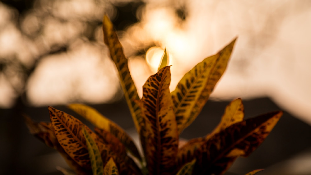 0 Y4 A7464 Photography Art | Captured Adventure Photography