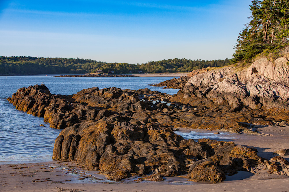 Maine Coastal Shoreline