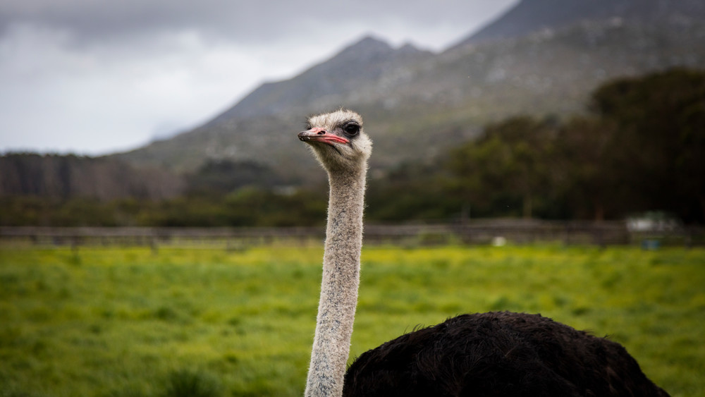 0 Y4 A7926 Photography Art | Captured Adventure Photography