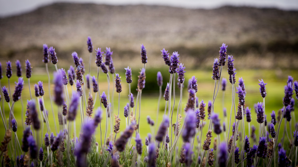 0 Y4 A7937 Photography Art | Captured Adventure Photography