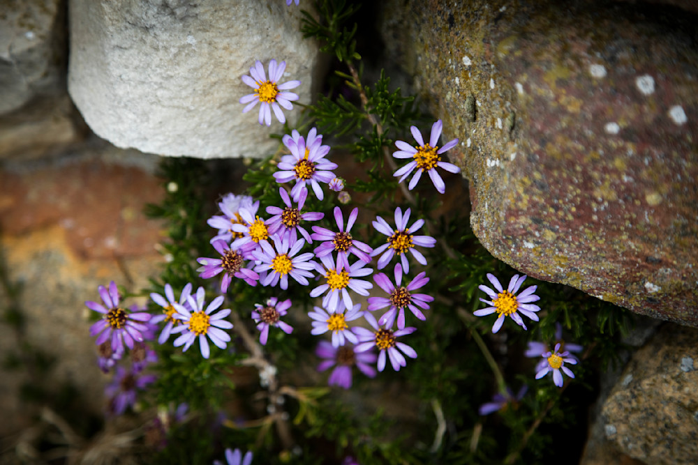 0 Y4 A8078 Photography Art | Captured Adventure Photography