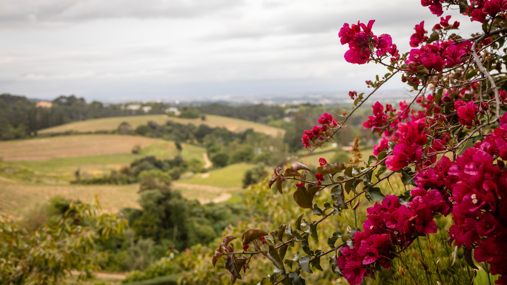 0 Y4 A8358 Photography Art | Captured Adventure Photography