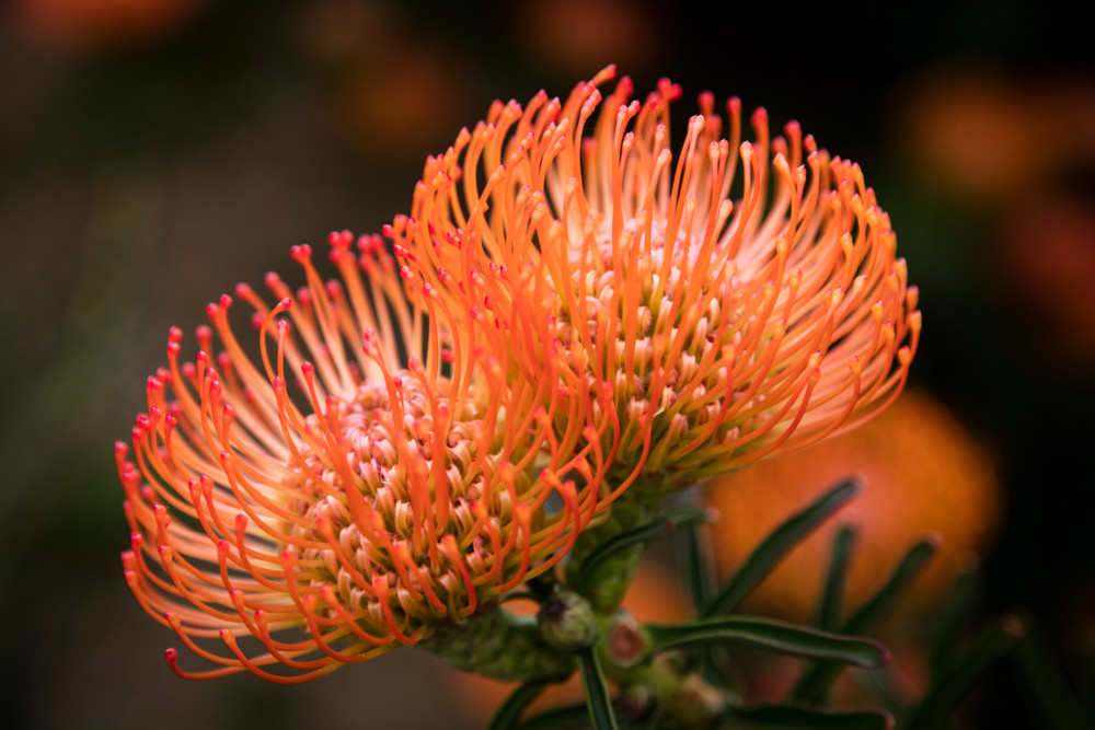 0 Y4 A8378 Photography Art | Captured Adventure Photography